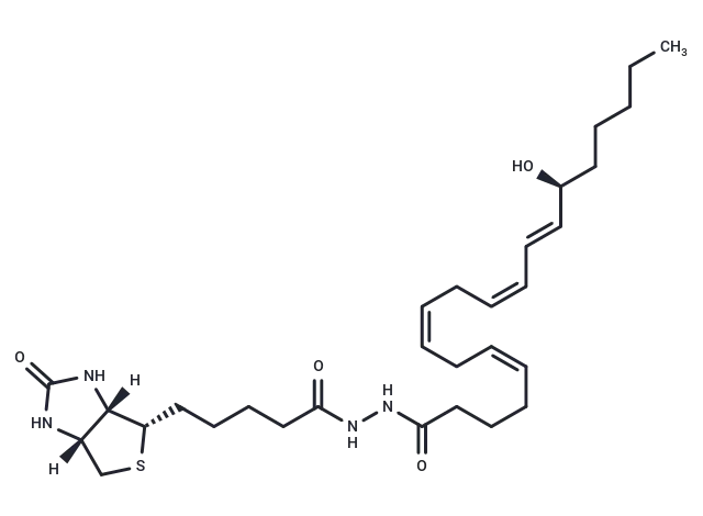 15(S)-Hete-biotin