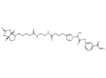 Citrulline-specific probe-biotin