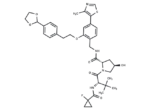 E3 Ligase Ligand-linker Conjugate 115
