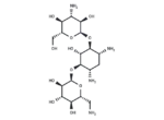 Kanamycin A