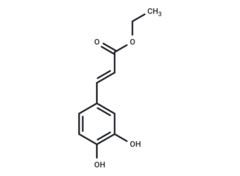 Ethyl trans-caffeate