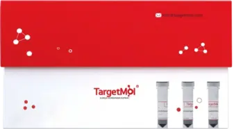 Human CD3/CD28 T Cell Activation Beads