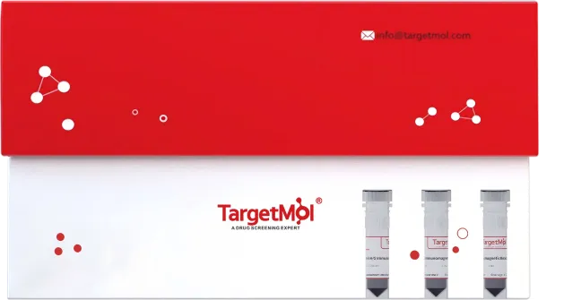 Human CD3/CD28 T Cell Activation Beads