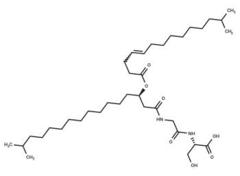 WB 3559 B