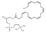 1-Docosahexaenoyl-sn-glycero-3-phosphocholine
