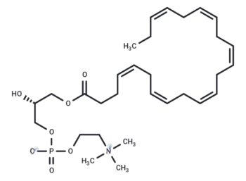 1-Docosahexaenoyl-sn-glycero-3-phosphocholine