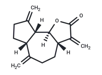 Dehydrocostus Lactone
