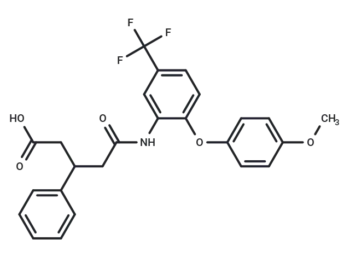 84-B10