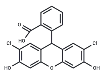 2,7-Dichlorodihydrofluorescein
