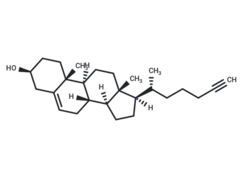Alkyne Cholesterol