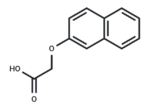 2-Naphthoxyacetic acid