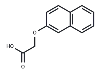 2-Naphthoxyacetic acid