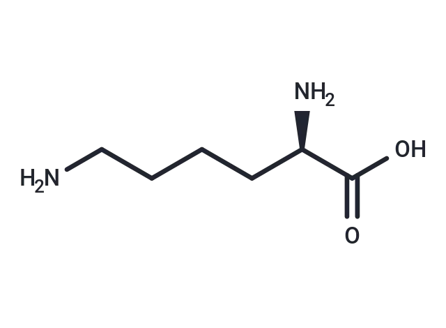 D-Lysine CgoaEGglyq2EAo1cAAAAAMI7luc173- Immunomart