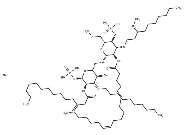 Eritoran Tetrasodium CgoaEGhADXyEODzWAAAAAMCojBs544- Immunomart