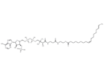 Oleoyl coenzyme A