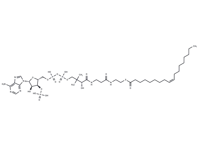 Oleoyl coenzyme A