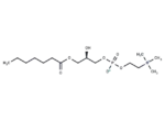 1-Heptanoyl-2-hydroxy-sn-glycero-3-phosphocholine