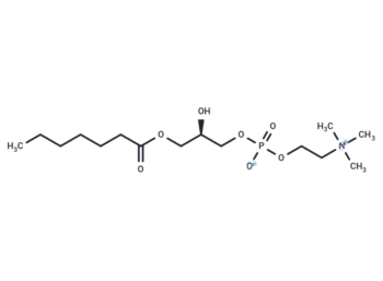1-Heptanoyl-2-hydroxy-sn-glycero-3-phosphocholine