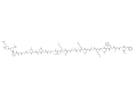 CPF-7