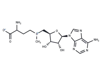 S-Adenosyl-DL-Methionine