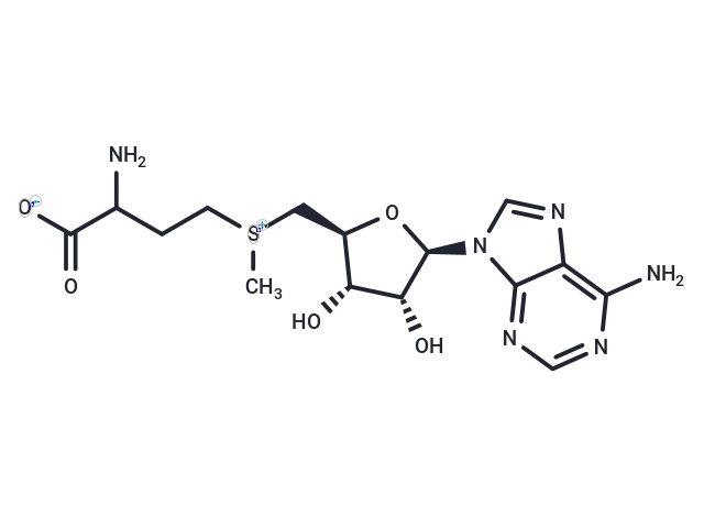S-Adenosyl-DL-Methionine