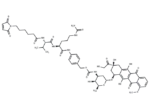 Doxorubicin-MVCP