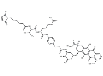 Doxorubicin-MVCP