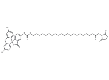 Fluorescein-PEG6-NHS ester