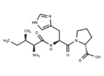 Angiotensin 1/2 (5-7)