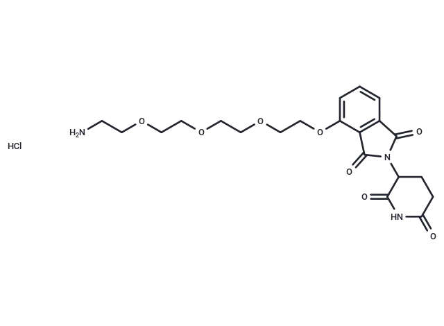 Thalidomide-PEG4-NH2 hydrochloride CgoaEWY7KAyEDSkYAAAAAPKID4c138- Immunomart