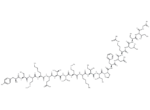 γ-Fibrinogen 377-395