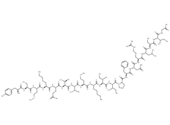 γ-Fibrinogen 377-395