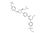 RORγt inhibitor 2