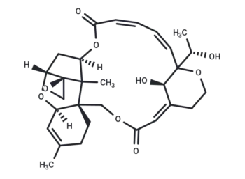 Satratoxin H
