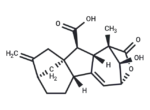 13-Deoxy-Isogibberellic acid 1 13-Deoxy-Isogibberellic acid