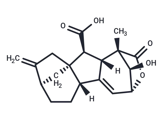 13-Deoxy-Isogibberellic acid 13-Deoxy-Isogibberellic acid