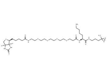Biotin-probe 1