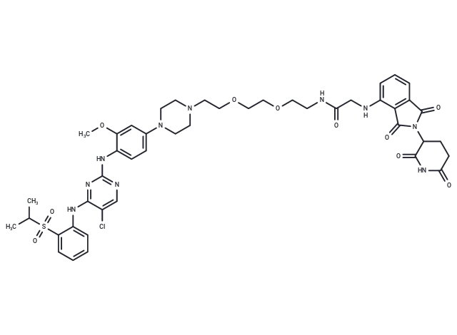 TL13-12 CgoaEWY7KWaEUmhrAAAAAOeycnw958- Immunomart