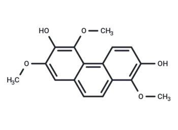 Denthyrsinin