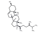 24-Methylenecholesterol