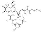 Amphidinolide C