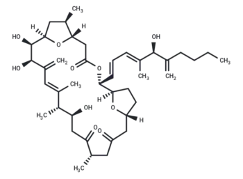 Amphidinolide C