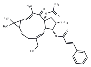 Euphorbia factor L22