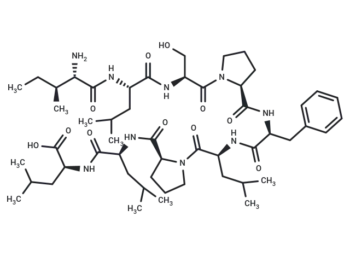 HBV Seq2 aa:208-216