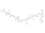 Acetyl-Adhesin (1025-1044) amide