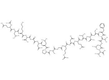 Acetyl-Adhesin (1025-1044) amide