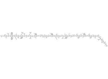 Epidermal Growth Factor