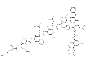 Endokinin C