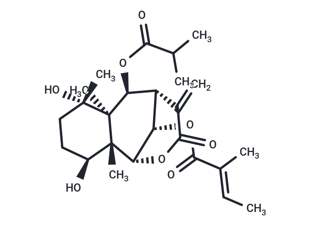 Wedelolide A CgoaEWY7KkmEWMrvAAAAAMEKP2U600- Immunomart