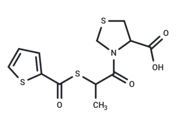 YS 3025